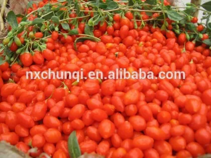 Organic goji berry whole