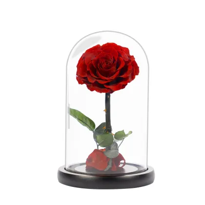 Factory Direct Wholesale: Immortal Rose Gift Boxes & Fresh Cut Flowers