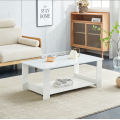 Modern Coffee Table with Double Layer