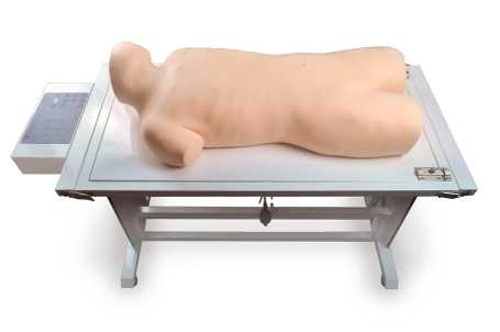 Full functional puncture model