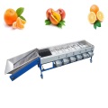 Coffee Bean Grinder Citrus fruit sorting machine Supplier