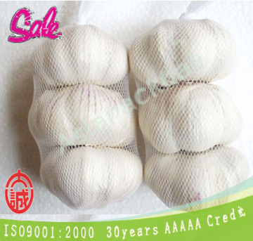 TL-E317 PE extruded Mesh garlic sacks For vegetables