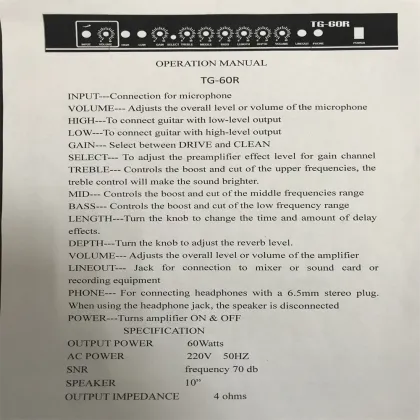 Kaysen 60W Guitar Audio Speaker