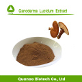 Reishi Ganoderma Lucidum Extrakt 50% Polysaccharide Pulver
