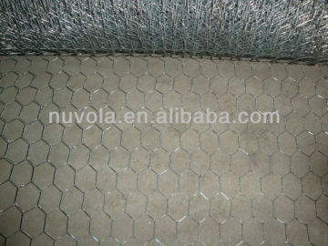 1/4 inch galvanized welded wire mesh