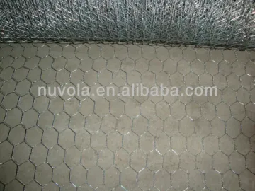 1/4 inch galvanized welded wire mesh