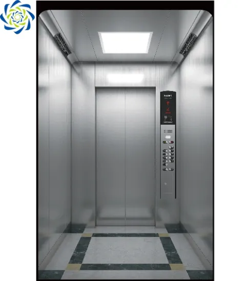 High Quality 320kg Steel Belt Webstar Elevator Villa Lift - Low Price Indoor Home Lift in China
