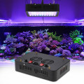 Luce dell&#39;acquario LED Coral Reef ad alta potenza