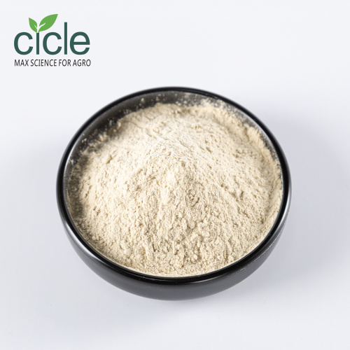 Alginate Oligosaccharide AOS Powder