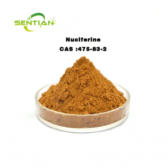 Natural Herb Extract Lotus Leaf Extract 98% Nuciferine