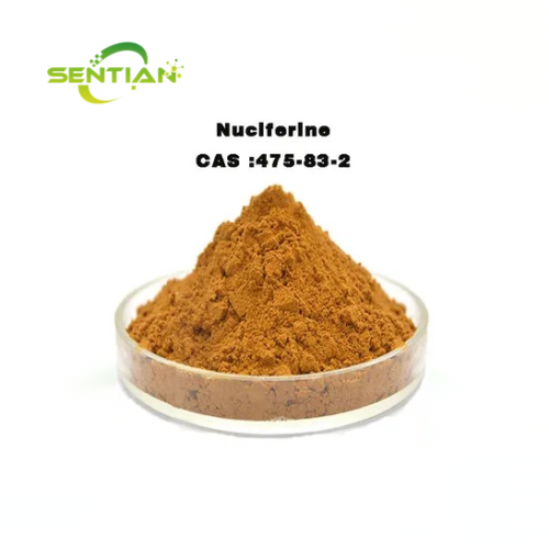 Natural Herb Extract Lotus Leaf Extract 98% Nuciferine