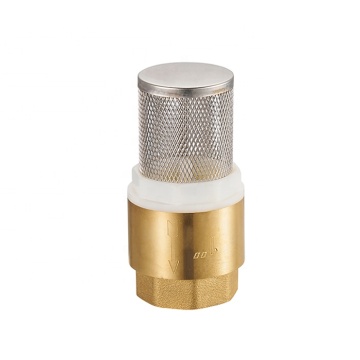 Valvola di ritegno in ottone a grandezza naturale a grandezza naturale - Valvole di controllo dell'acqua a molla 1/2 '' - 2 ''