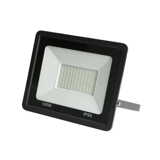 100W AC175-265V LED Flood Light for Road, Park, and Outdoor Garden Lighting