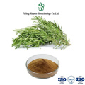 Premium Organic Rosemary Extract for Culinary and Health Uses