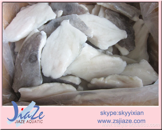 seafood Frozen John Dory fillet skin on