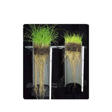 Premium Fulvic Acid Enriched Economic Root Promoter Fertilizer: Boosting Plant Growth