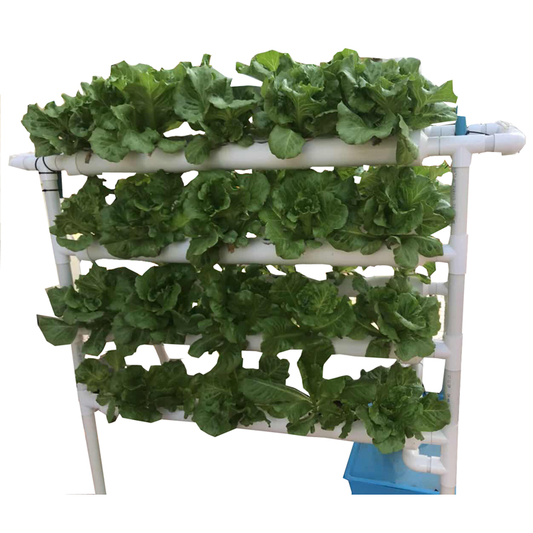 108 holes NFT Hydroponic kit System