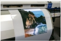 Petfilm PP Inkjet Printer Bahan Khusus