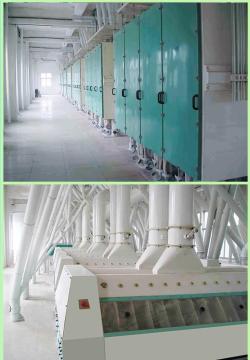 150t/24h Wheat Flour/Wheat Flour Milling Machine