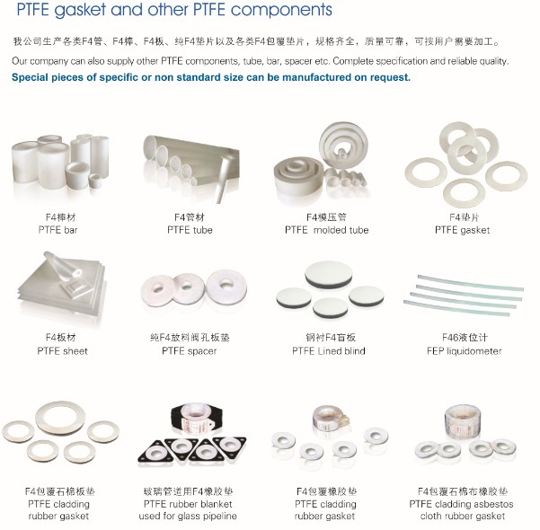 China Made PTFE Gasket