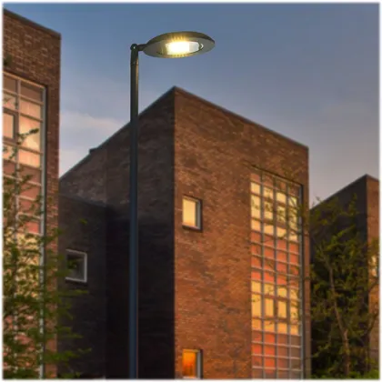 Multifunctional Roadway Lighting: Alumbrado Público, Éclairage Routier, KIRO STREET POOL, VENUS ELIPT X