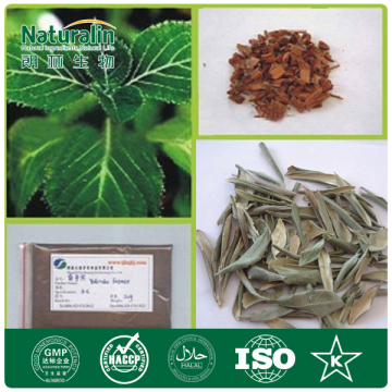 100% Natural Corynante Yohimbe/Yohimbine Bark Extract (8%98% Yohimbines)
