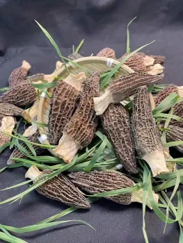 Yunnan Deep Mountain Morels