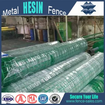 Holland wire mesh