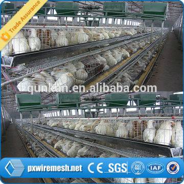 chicken layer cage /poultry layer cage/chicken cage