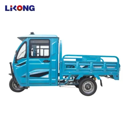 Wholesale Customized 3 Wheel Electric Bike - Ewheels Trike Electric Cargo Tricycle for Adults