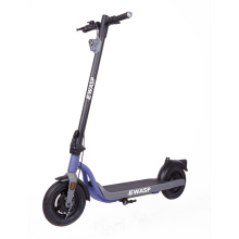 new design 10inch 350w electric scooter