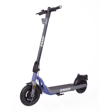 Nouveau design 10inch 350W Scooter électrique