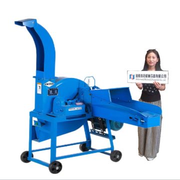 Electric Motor Chaff Cutter for Animal Feed - Prices in Pakistan