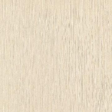 Beige Lappato Pennia with Dot Tiles