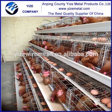 china exporter battery chicken cage, layer chicken battery cage, chicken cage