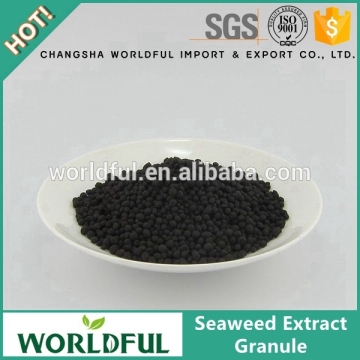 100% organic fertilizer seaweed extract granule, seaweed extract fertilizer