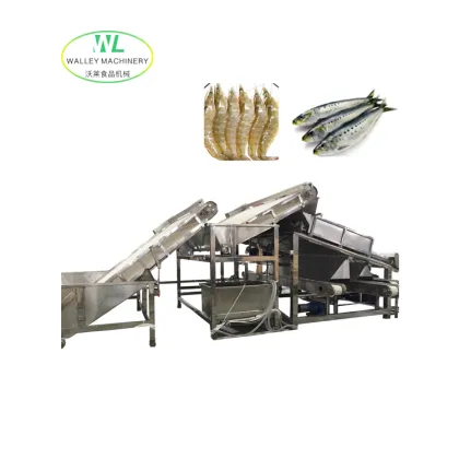 China Anchovy Grading and Sorting Equipment