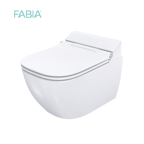 Europe Design Back To Wall Intelligent Toilet