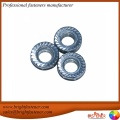 Brightffastener DIN11661 شفة المكسرات