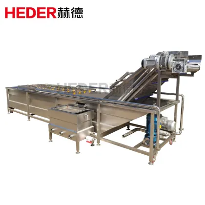 High Pressure Fresh Ginger Washing Machine Price