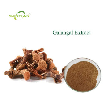 Pure Natural Galangal Extract
