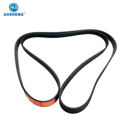 MULTI RIB BELT 500352673 51968200238 poly rib belt