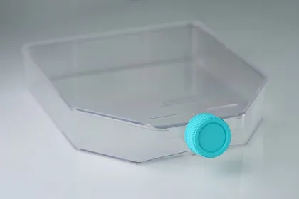 Cell Culture Flask