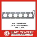 TGA Engine Gasket 51.03901.0402