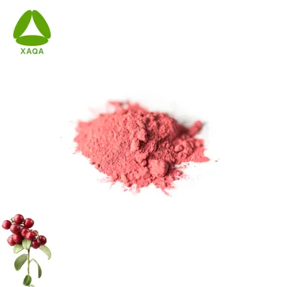 Organic Beverage Drinks Cranberry Fruit Juice Powder