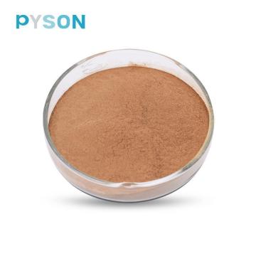 Prix ​​d&#39;usine 100% poudre de feuille de Ginkgo Biloba naturel