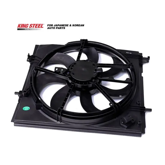 OEM 21481-DF30A-B293 High Performance Auto Part - Electronic Fan for Nissan Qashqai J11 (2014)