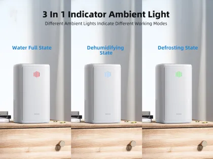 Guangdong DOUHE Professional Portable Ultra Quiet 2-in-1 Dry Dehumidifier