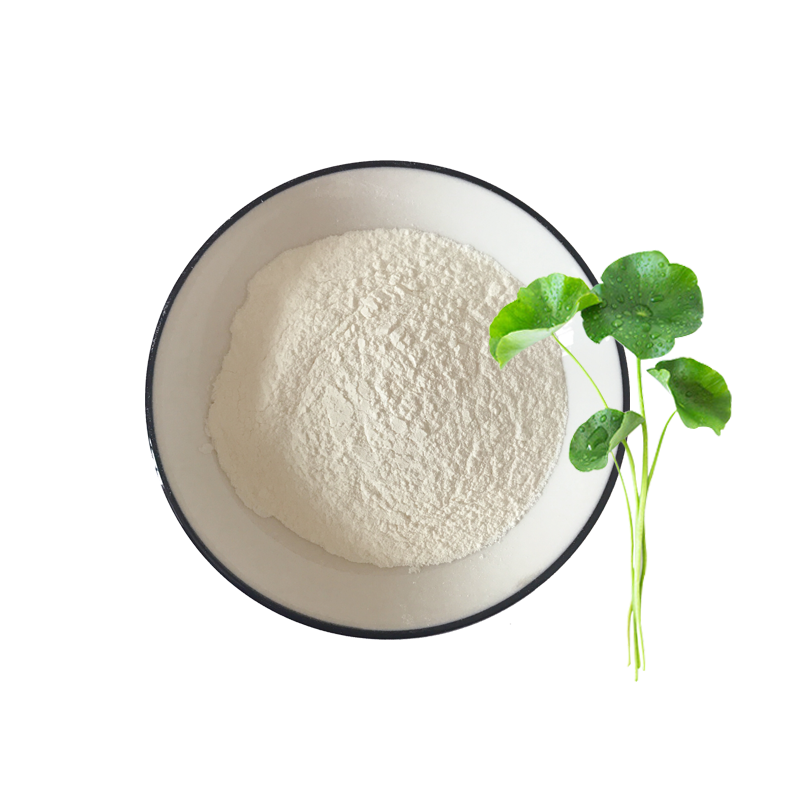 Centella Asiatica Extract 1