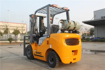 2.5T Gas Forklift New Gasoline Lifting Equipment